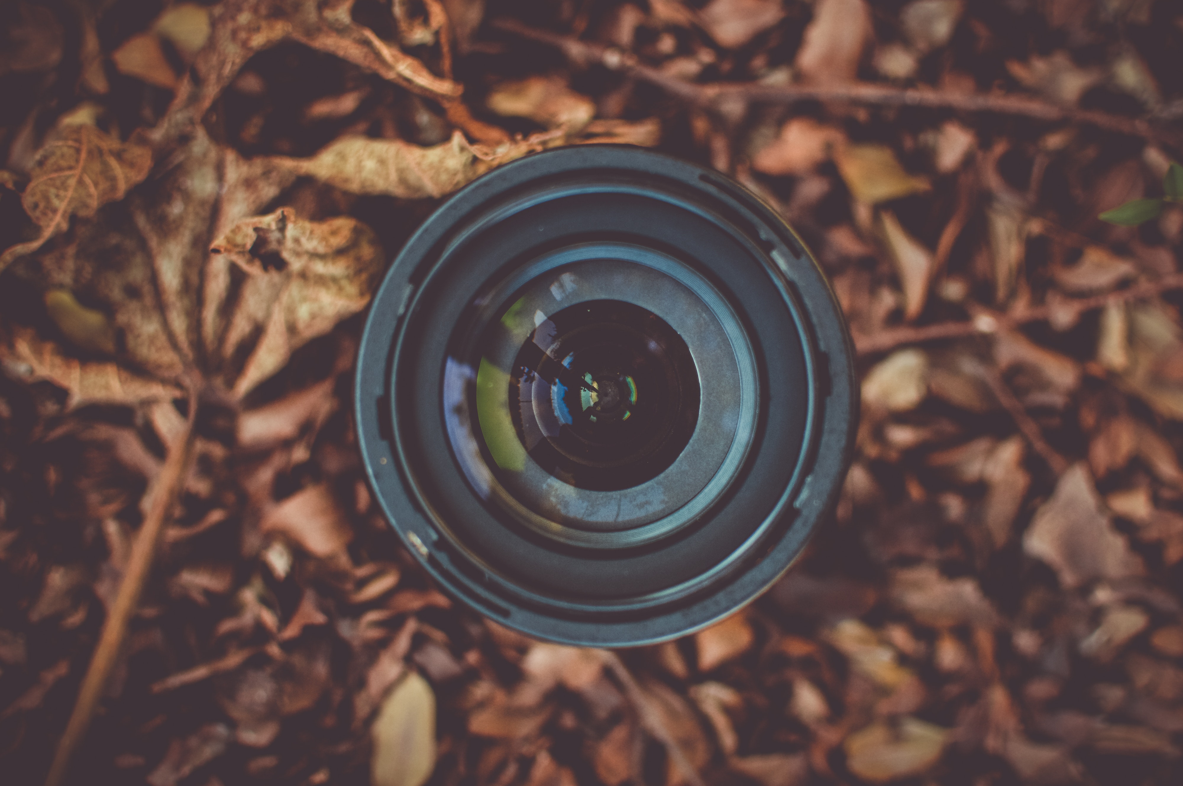 camera