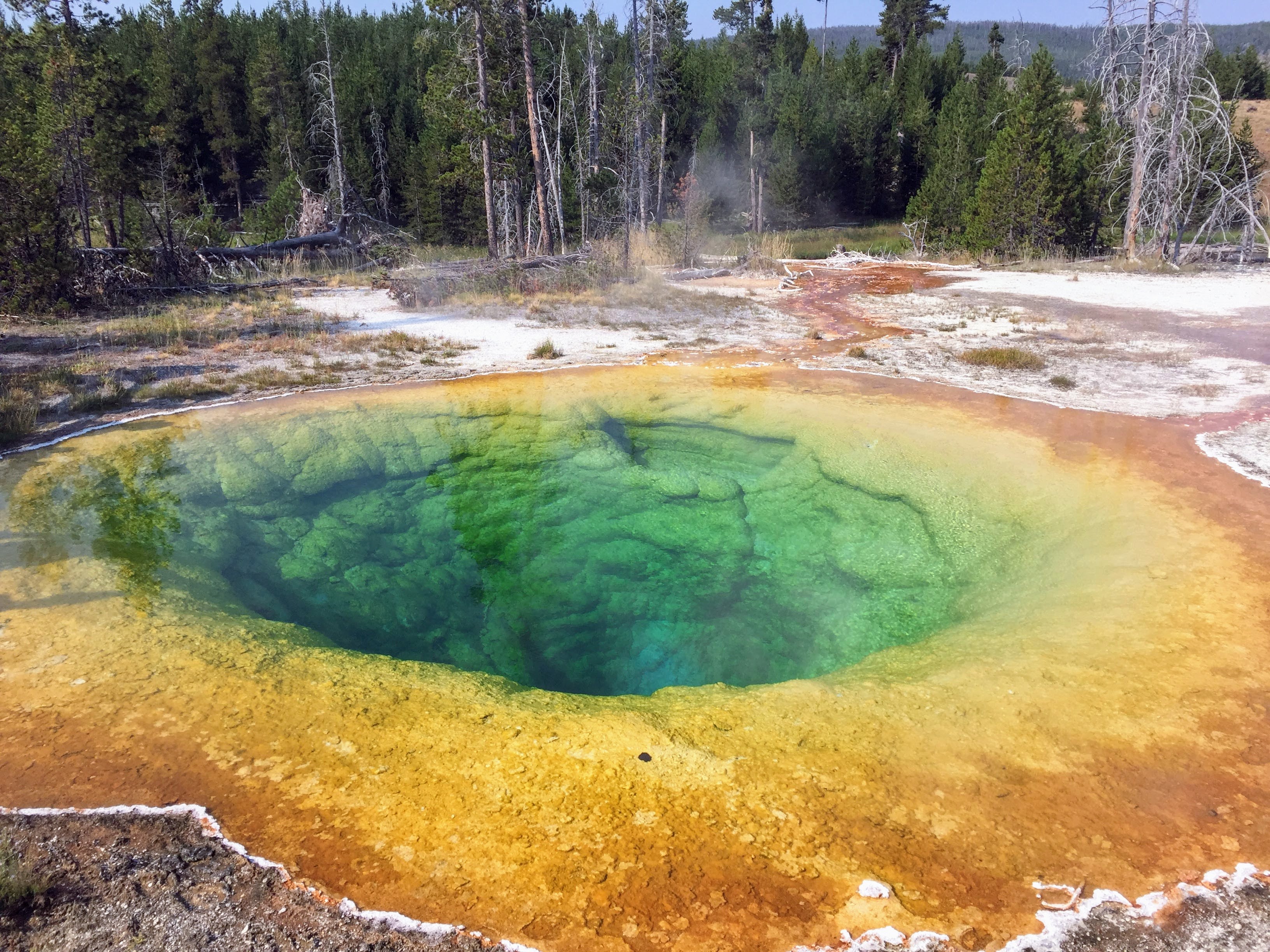 yellowstone