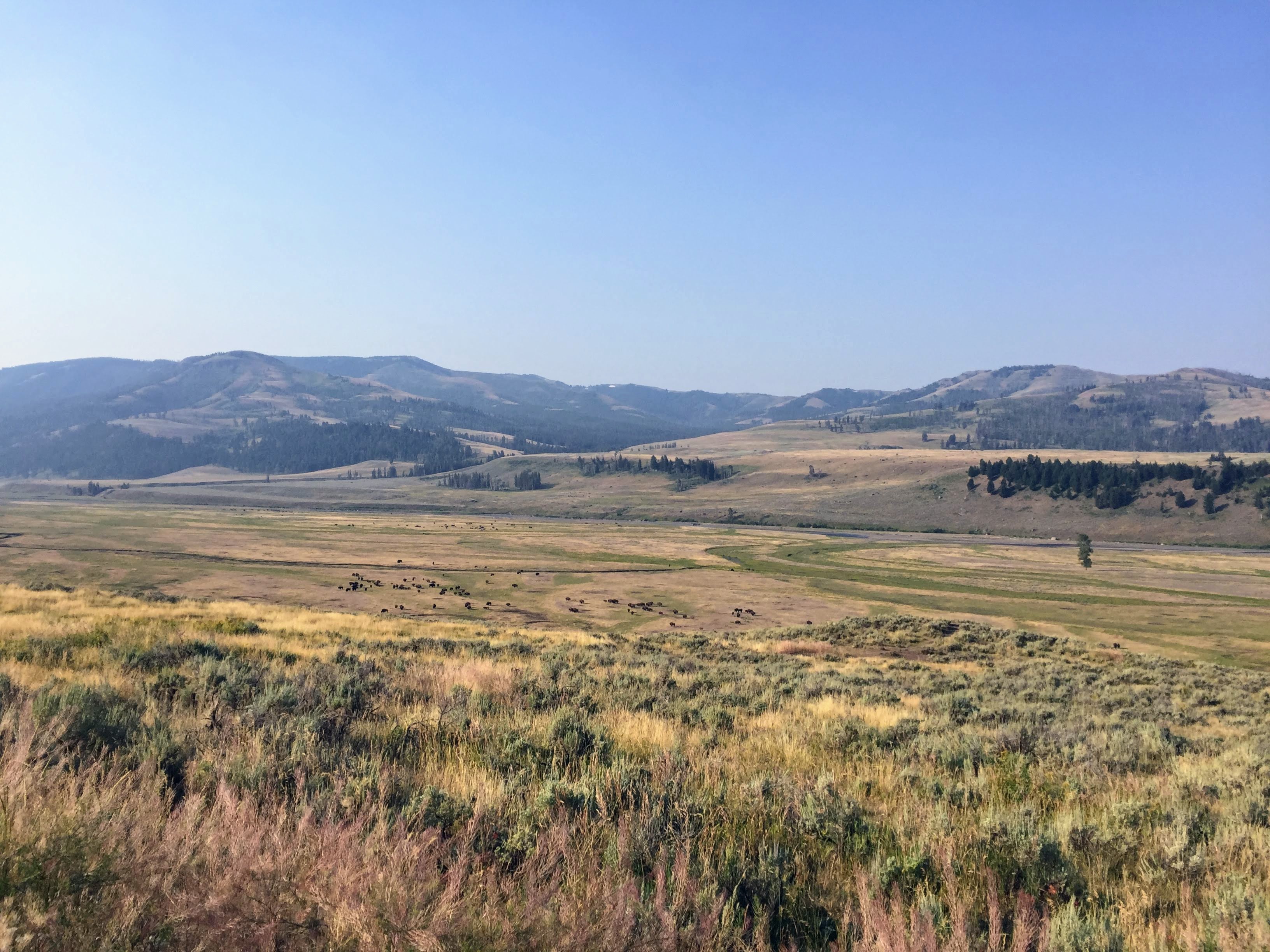 plains